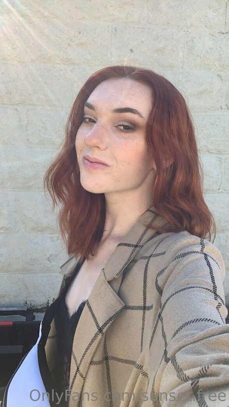 Sunsetfawn
