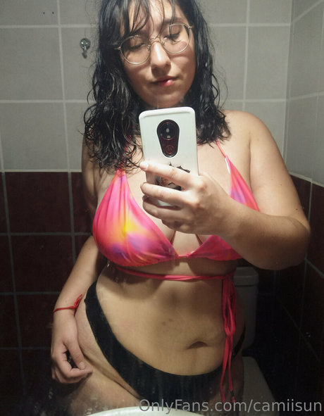 Camiisun