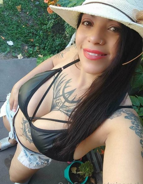 Reinarock