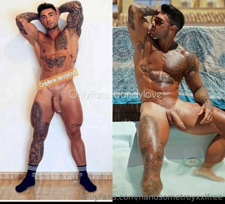 Handsometroyxxlfree