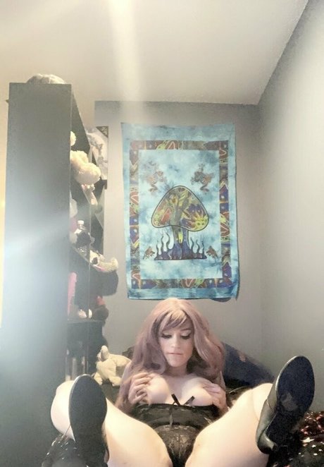 Katehatesyouxo