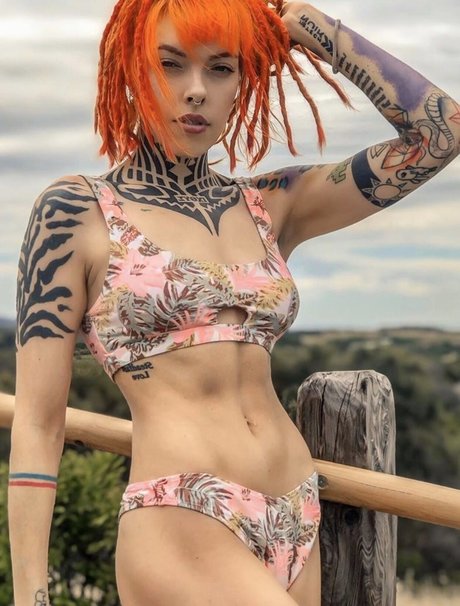 Torierobot
