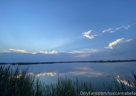 Toxicannabella