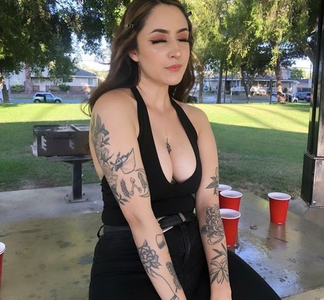Catstaxx