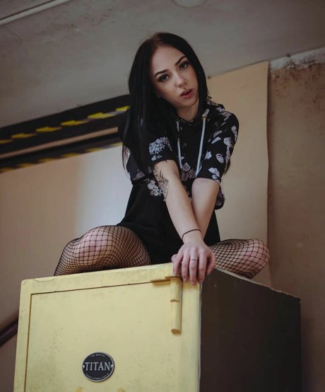 Jensteviexo