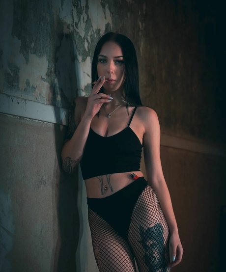 Jensteviexo