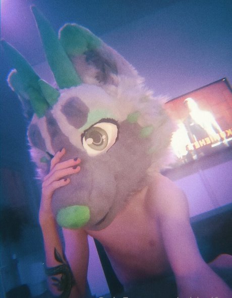 Midorifox