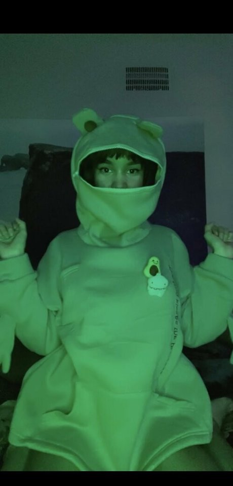 Thekorokfairy