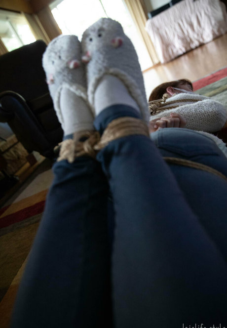 Dojolifestyle