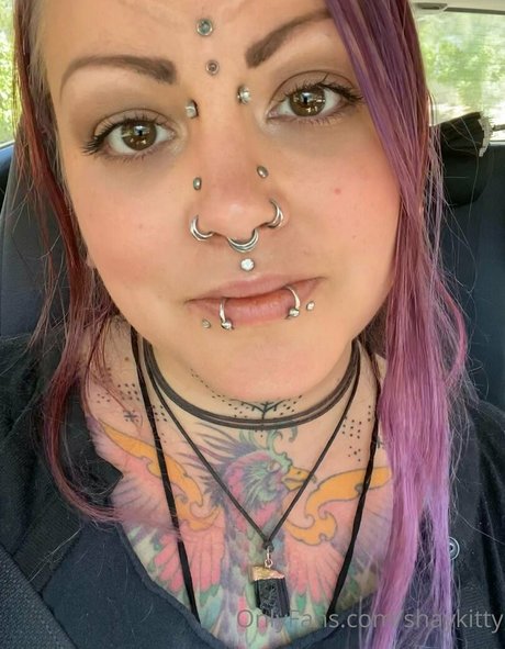 Shaykitty