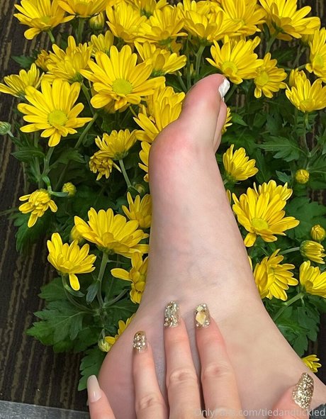 Tiedandtickled