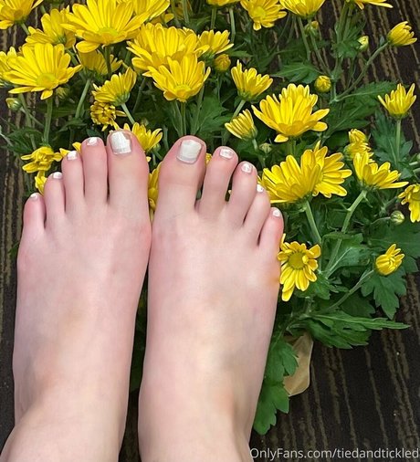 Tiedandtickled