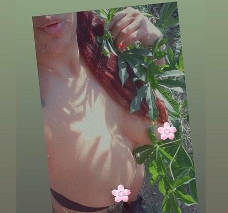 Sofyalone