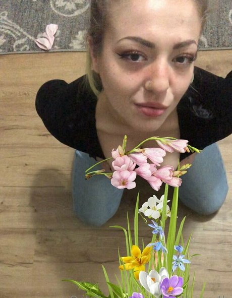 Oliviathenorth