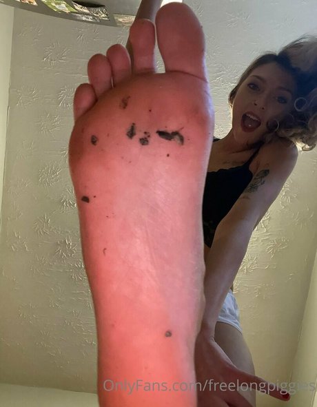 Freelongpiggies