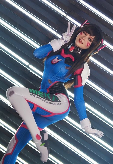 Erodaicon