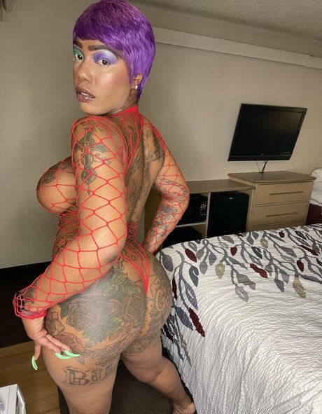 Darealkacydashxxx