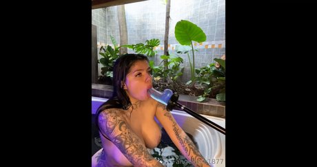 Angelface18