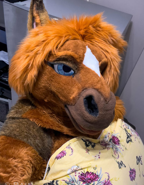 Rain_horsie