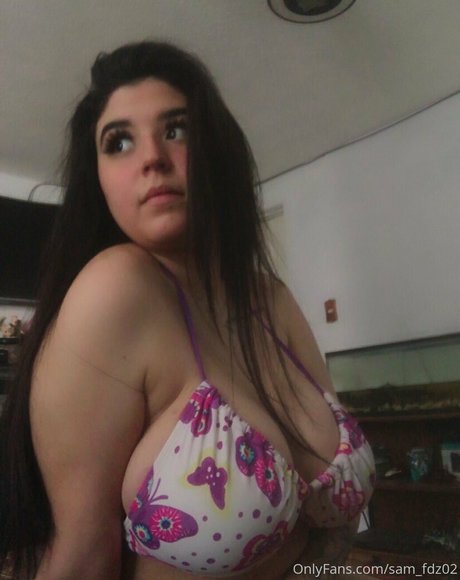 Sam_fdz02