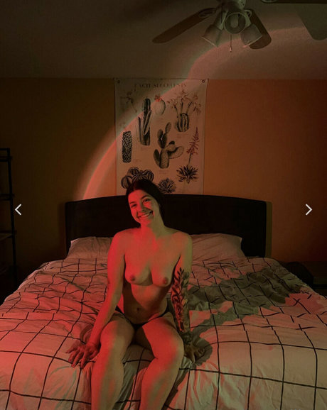 Oakandpillow