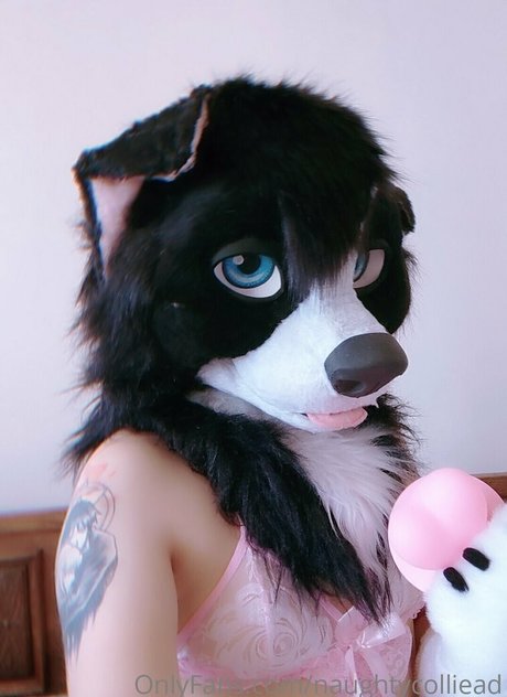 Naughtycolliead