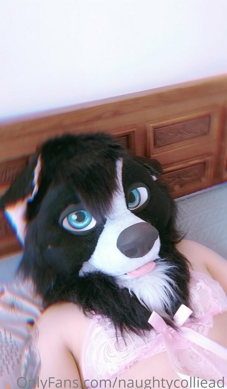 Foto desnuda filtrada de OnlyFans de Naughtycolliead