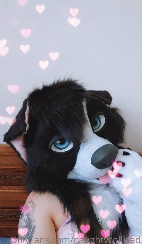 Naughtycolliead