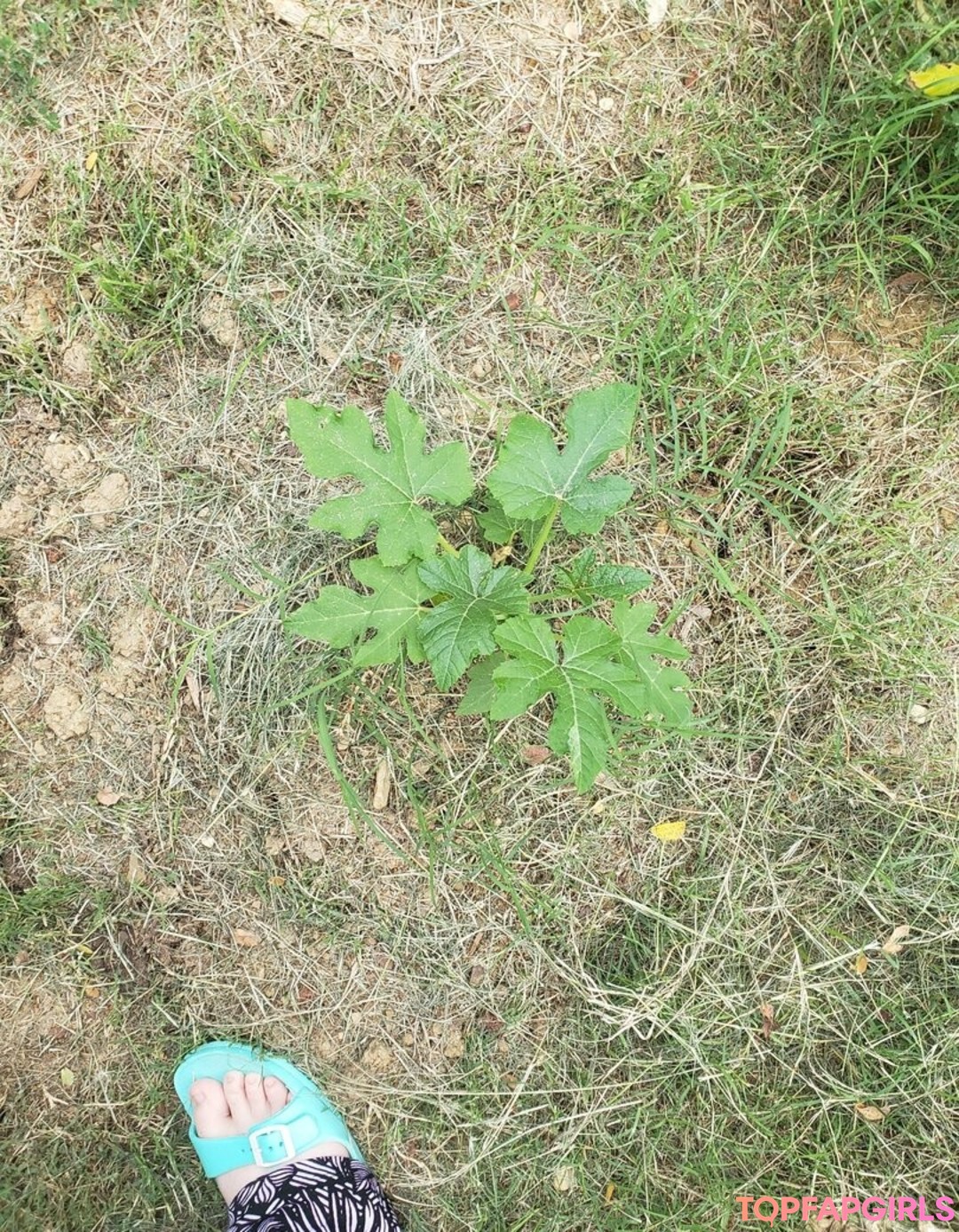 Foto desnuda filtrada de OnlyFans de Veronikaplants #8 Foto desnuda filtrada de OnlyFans de Veronikaplants #8