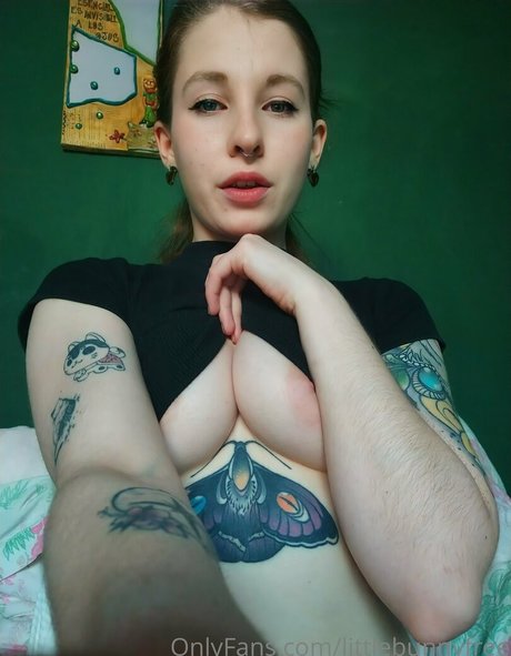 Littlebunnyfree