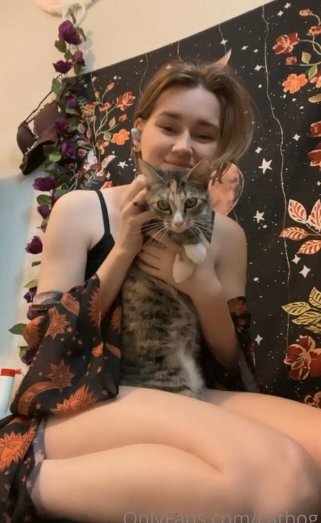 Catbog