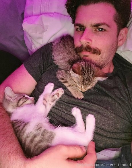 Fosterkittendad