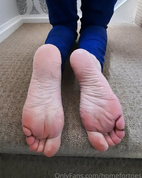 Homefortoes