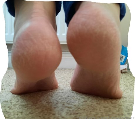 Homefortoes