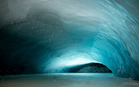 Iceicelady