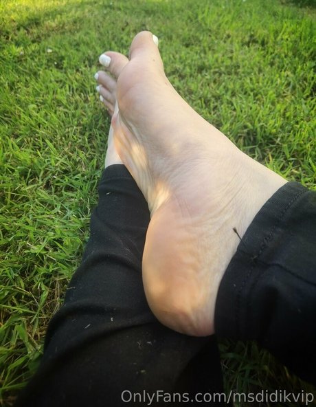 Msdidikvip