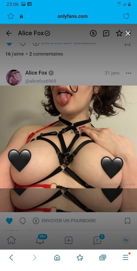 Alicefox6969