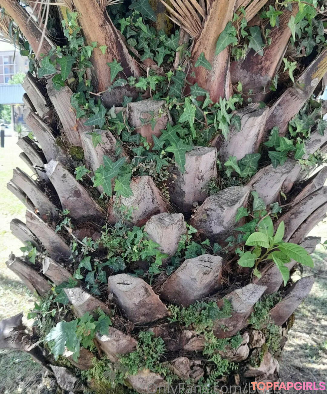 Foto desnuda filtrada de OnlyFans de Beeboogirl #84 Foto desnuda filtrada de OnlyFans de Beeboogirl #84