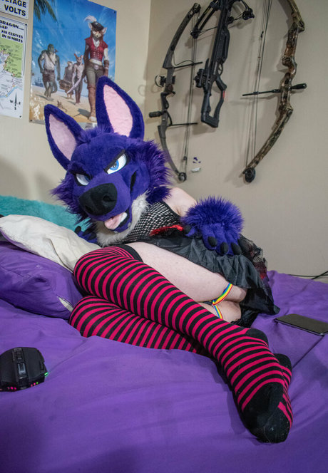 Purplehuskymurr