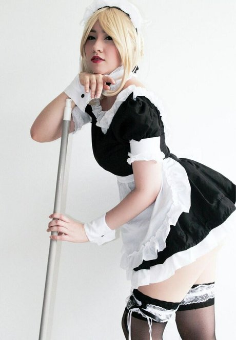 Hakicosmodel