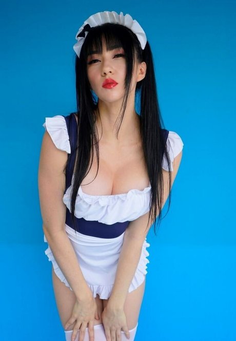 Hakicosmodel