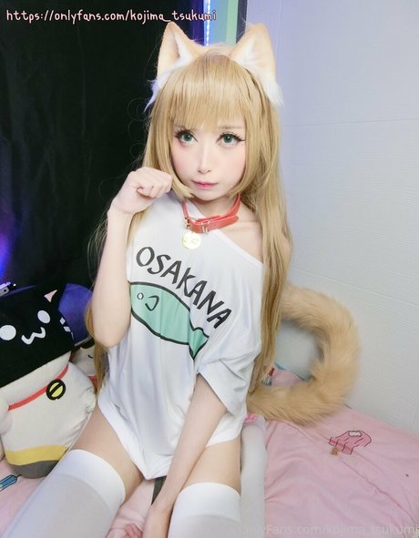 Kojima_tsukumi