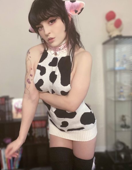 Purrrveeives