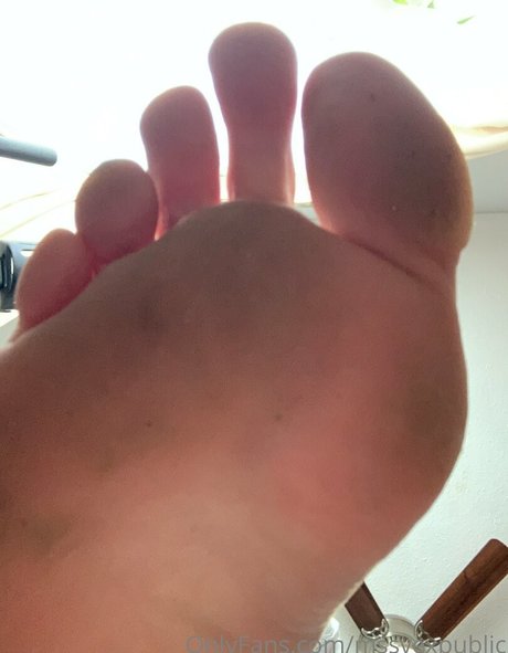 Mssvexpublic