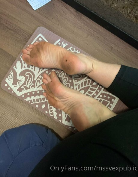 Mssvexpublic