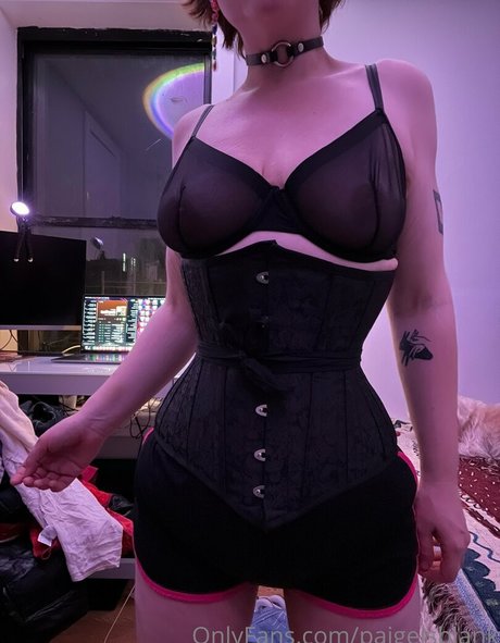 Paigeisblank