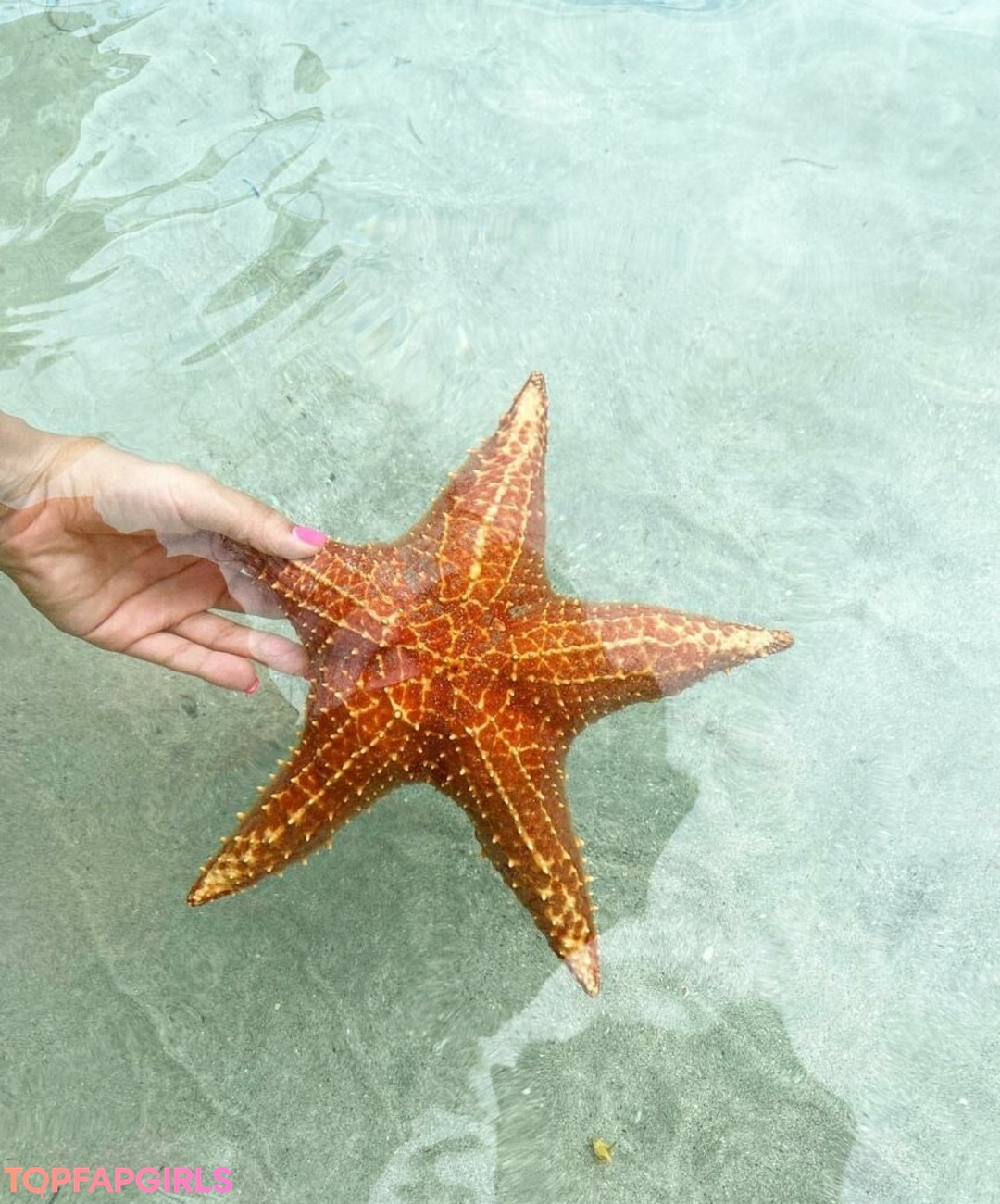 Foto desnuda filtrada de OnlyFans de Dana Sartov #3 Foto desnuda filtrada de OnlyFans de Dana Sartov #3