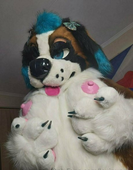 Lexipuppy