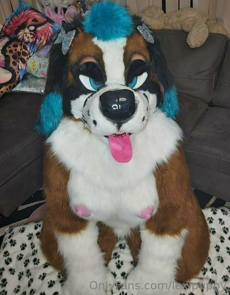Lexipuppy