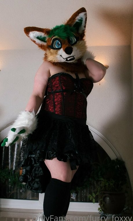 Furry_foxxy